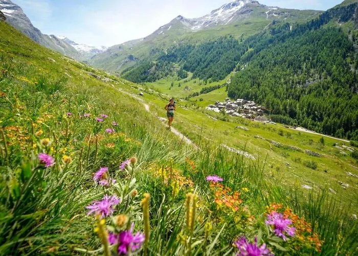 Apartament Relais De Poste Centre Mont Blanc *